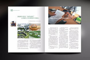 圖 深圳石巖產品畫冊設計,企業畫冊專業設計,石巖折頁設計公司 深圳設計策劃